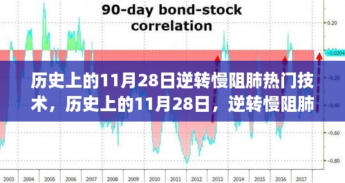 2024年11月 第41页