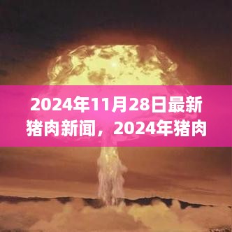 2024年猪肉市场动态解析，最新新闻下的产业洞察与观点碰撞