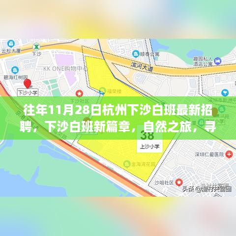 杭州下沙白班新篇章，自然之旅招聘启幕，探寻内心的绿洲