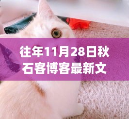 秋石客博客，XXXX年11月28日最新文章的时代印记回顾