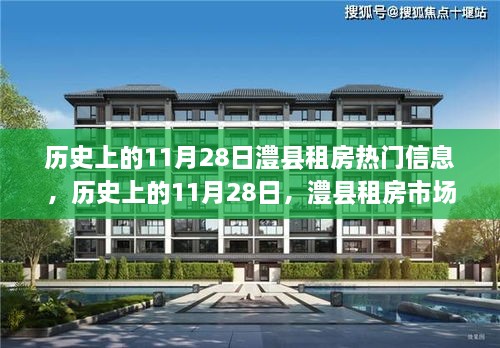 历史上的11月28日，澧县租房市场的热门时刻回顾