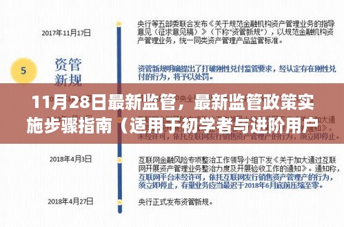 最新监管政策实施步骤指南，适用于初学者与进阶用户的全面解析（11月28日更新）