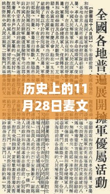 麦文鼎技能学习与实践步骤指南，历史上的11月28日最新进展