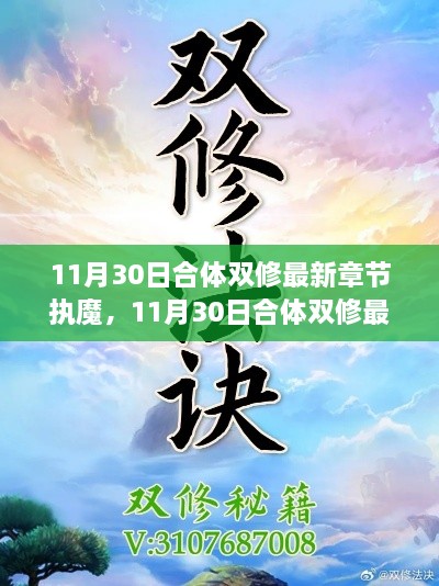 11月30日合体双修最新章节执魔，深度解析与探讨