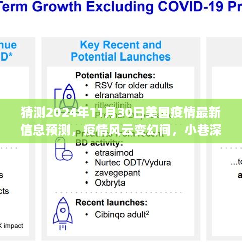 2024年美国疫情预测之旅，小巷特色小店与未来疫情风云变幻的洞察