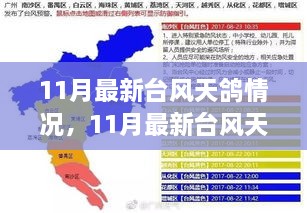 台风天鸽最新动态及多元观点分析，11月台风形势深度探讨