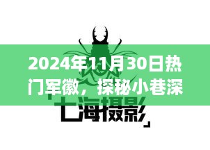 探秘小巷深处的军徽宝藏，一场独特的徽章之旅（2024年11月30日热门）