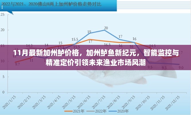 最新加州鲈鱼价格揭秘，智能监控与精准定价引领未来渔业市场风潮