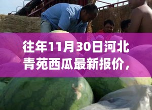 河北青苑智能西瓜报价系统，科技重塑瓜价新纪元，最新西瓜报价发布