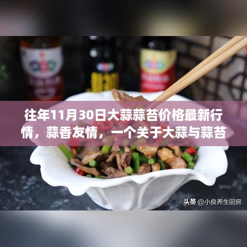 大蒜蒜苔行情揭秘，蒜香友情之温馨故事回顾