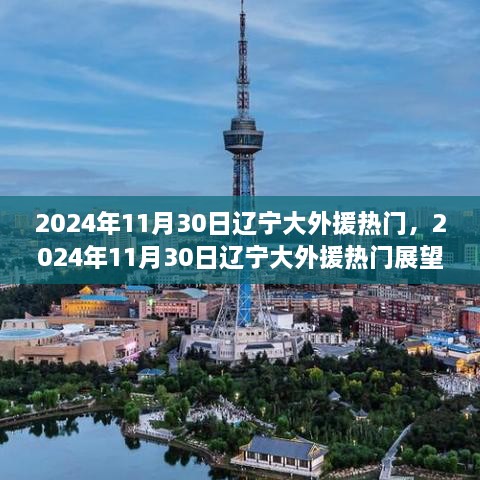 辽宁大外援热门展望，聚焦2024年11月30日的外援动态