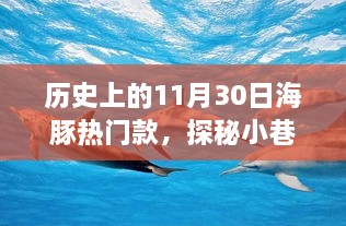 历史上的11月30日海豚热门款，探秘小巷深处的海豚风情，历史上的11月30日海豚热门款独家解析