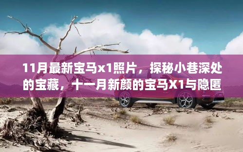 探秘十一月新颜宝马X1，小巷深处的宝藏与隐匿摄影展实拍美图