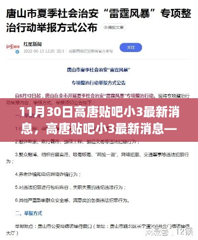 高唐贴吧小3最新消息解析（11月30日焦点报道）