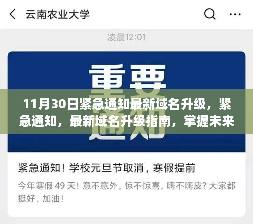 最新域名升级指南，掌握未来网络趋势——紧急通知，11月30日全新上线