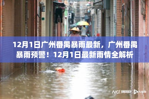 广州番禺暴雨预警，最新雨情解析与预警通知（12月1日）