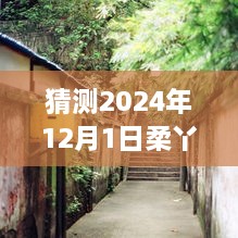 独家揭秘，柔巴小巷的独特风味与柔丫新篇章的预测——2024年最新消息揭秘