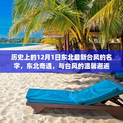 东北奇遇，台风下的温馨邂逅——历史上的东北台风名字揭秘