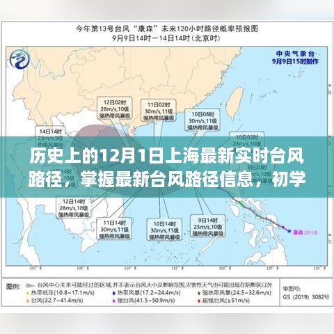 历史上的12月1日上海最新实时台风路径，掌握最新台风路径信息，初学者与进阶用户指南，关于历史上的12月1日上海实时台风路径查询