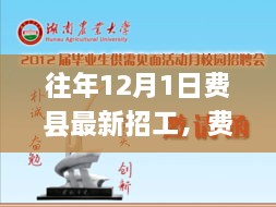 历年12月1日费县招工动态，最新就业市场概览