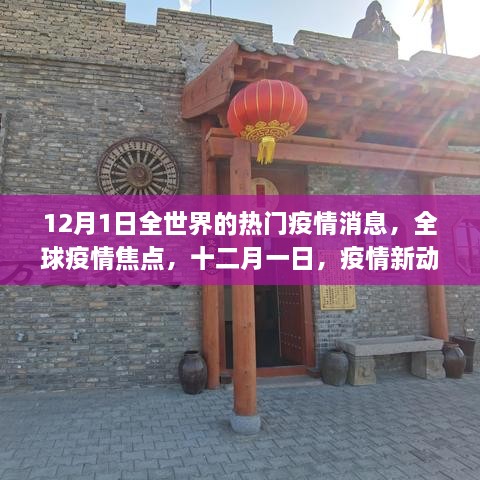 全球疫情焦点，十二月一日的最新动态与全球反应