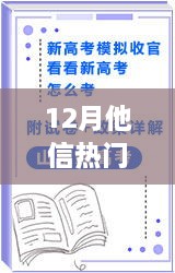 深度解析，聚焦12月他信三大热门消息回顾与解读