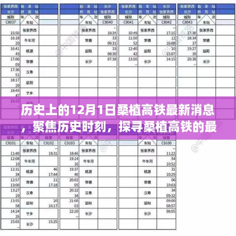 历史时刻聚焦，桑植高铁最新进展及其深度影响