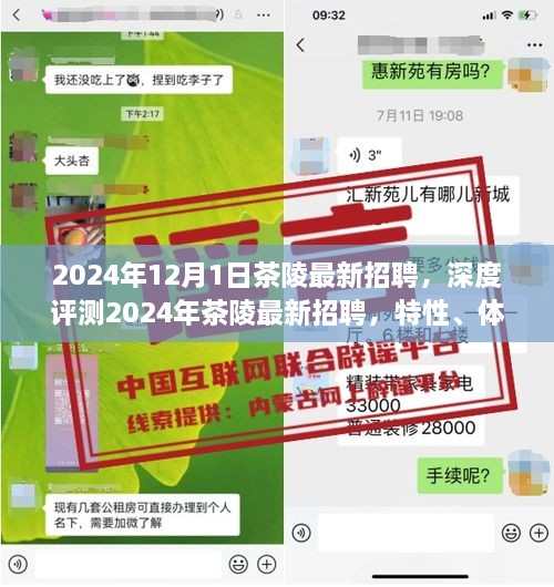 深度解析，2024年茶陵最新招聘概览与竞争分析