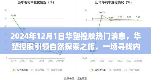 华塑控股引领自然探索之旅，寻找内心平静的奇妙征途消息揭秘（2024年12月）