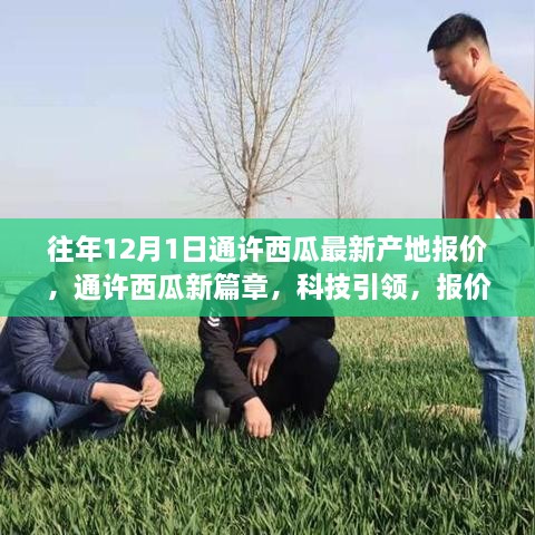 通许西瓜产地最新报价，科技引领智能报价，体验未来生活新篇章