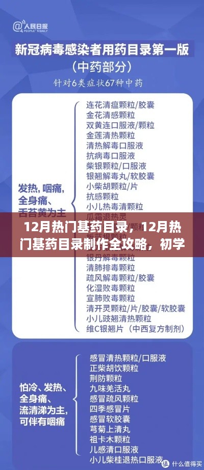 12月热门基药目录制作指南，从初学者到进阶用户的全攻略