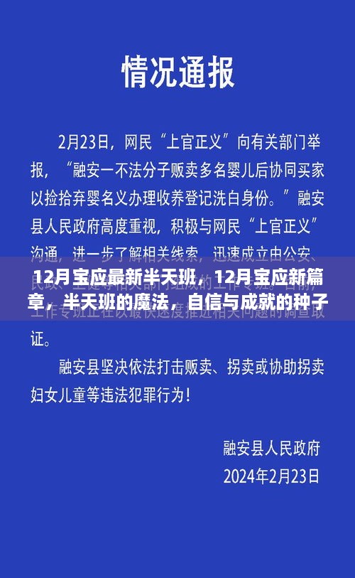 12月宝应半天班的新篇章，自信与成就的种子正在萌芽