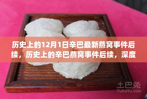 辛巴燕窝事件后续深度解析与行动指南，历史回顾与最新进展