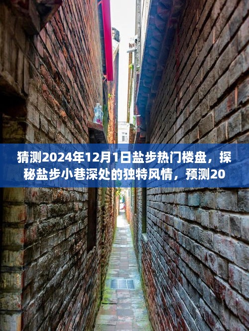 探秘盐步小巷风情，预测未来热门楼盘新星——盐步楼盘展望2024年预测报告