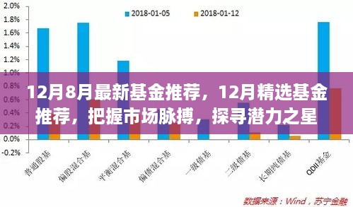 精选基金推荐，把握市场脉搏，探寻潜力之星（12月最新基金推荐）