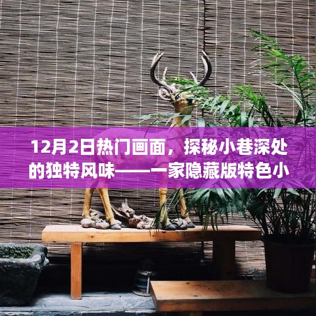 探秘小巷深处的独特风味，隐藏版特色小店独家记忆——12月2日的热门画面