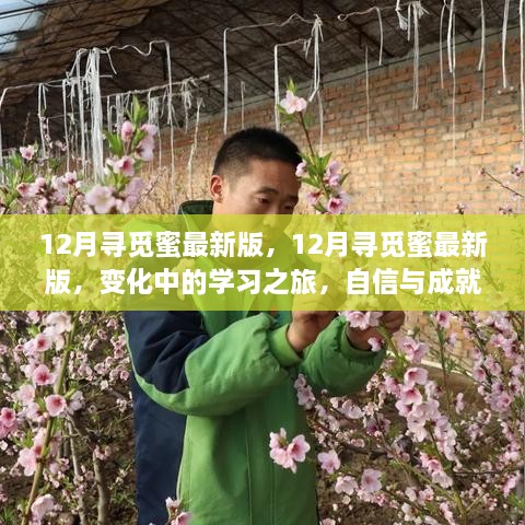 12月寻觅蜜最新版，变化中的学习之旅，成就自信与魔法的时刻