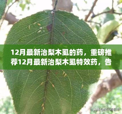 告别梨木虱烦恼，12月最新特效药重磅推荐！