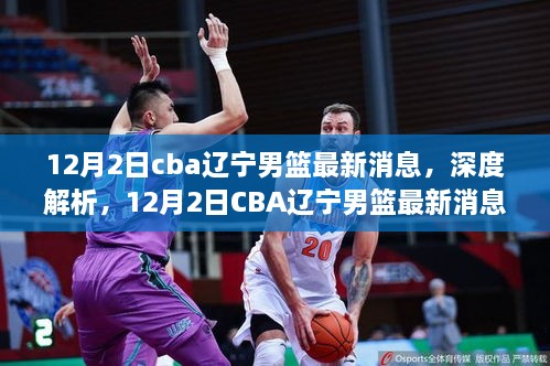 独家解析，CBA辽宁男篮最新动态与全面评测