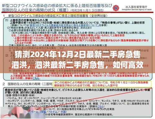 泗洪最新二手房急售攻略，高效猜测与购买步骤指南（适用于初学者与进阶用户）