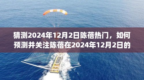 陈蓓2024年12月2日热门预测与关注指南