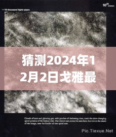 戈雅新风尚探索未知美景，心灵之旅遇见未来时尚潮流——戈雅最新款预测（2024年12月2日）