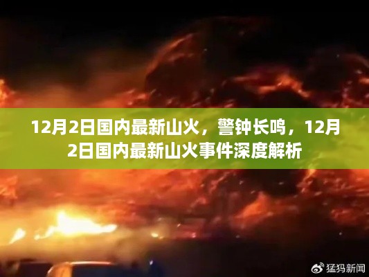 12月2日国内山火事件深度解析，警钟长鸣之际的反思与行动