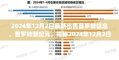 普罗特信息揭秘，新纪元盛况与未来出售展望（2024年12月2日）