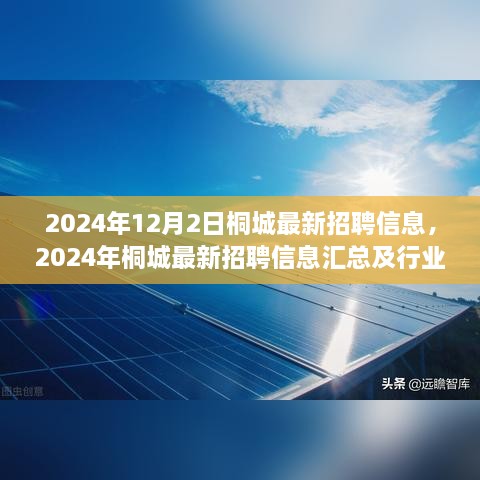 2024年桐城最新招聘信息汇总及行业趋势展望，洞悉职业发展机会