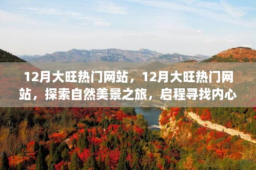 12月热门网站带你启程探索自然美景，寻找内心平静的力量之旅