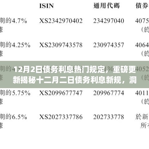 揭秘十二月二日债务利息新规，政策走向与权益保障详解