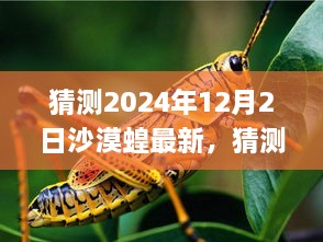 2024年沙漠蝗虫最新动态及应对策略，应对再次入侵的挑战