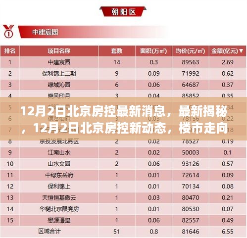 2024年12月4日 第29页