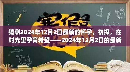 时光孕育新希望，2024年12月2日的怀孕初探体验分享